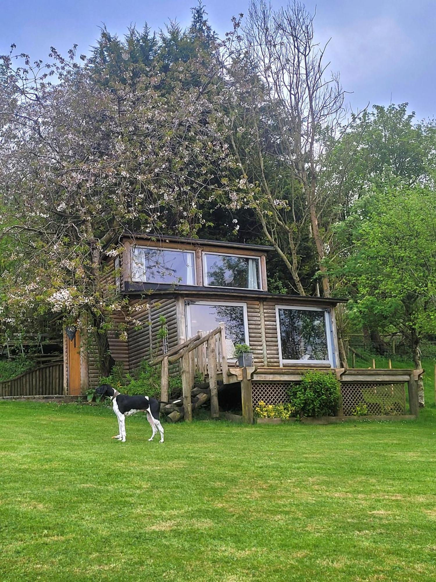 The Summerhouse Llandegla Zewnętrze zdjęcie